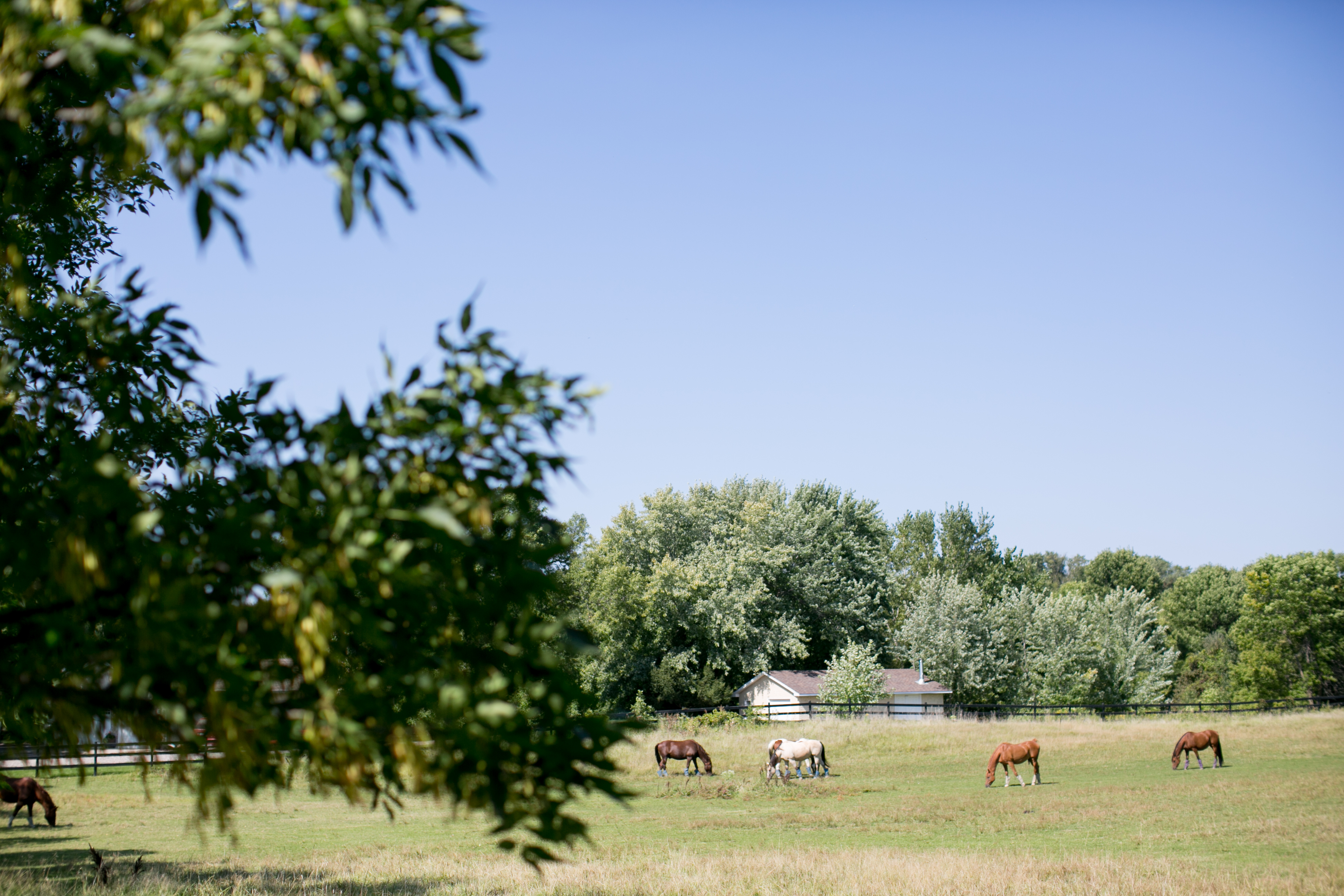 kristareynoldsphotography-37