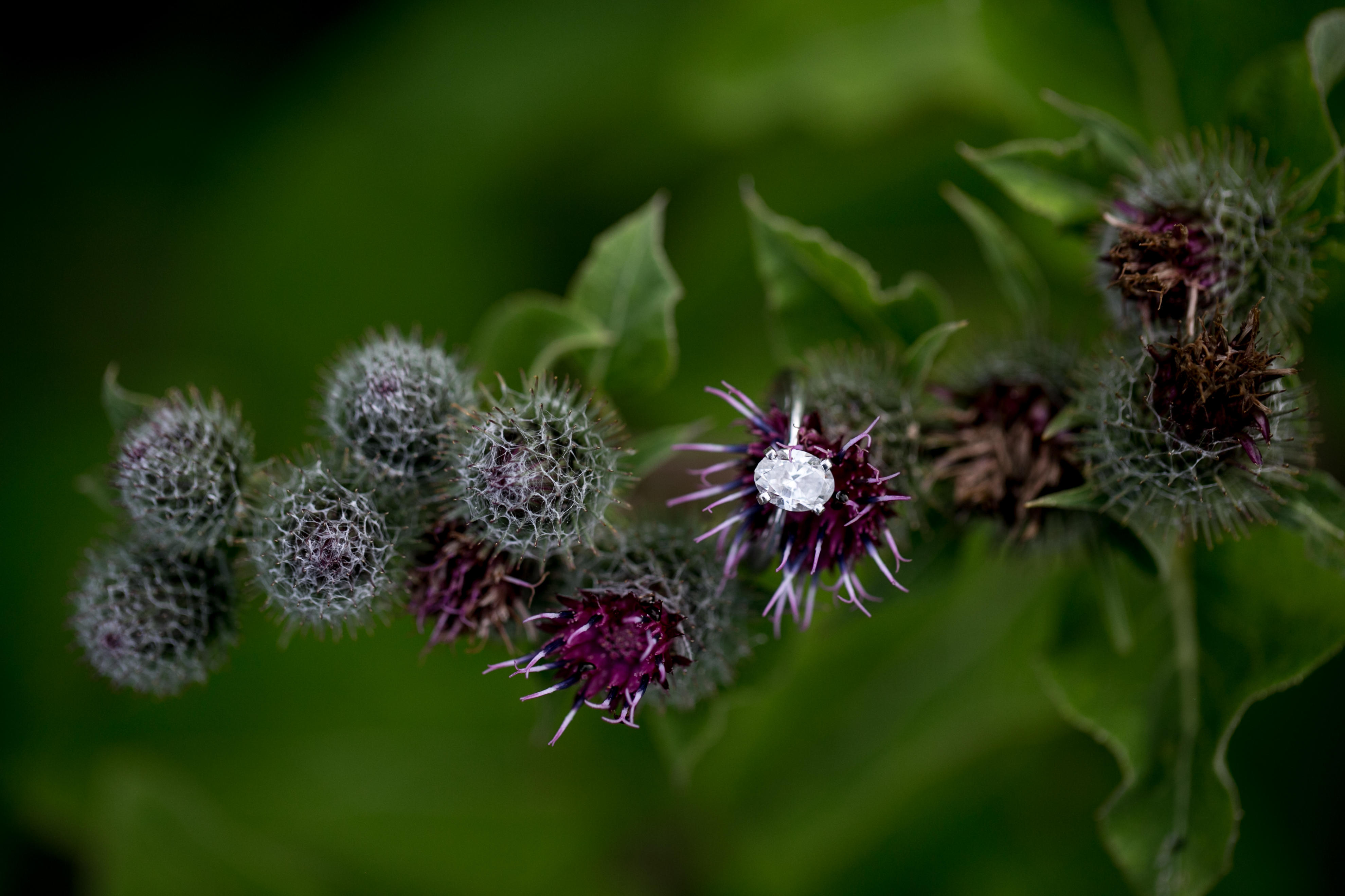 kristareynoldsphotography-106