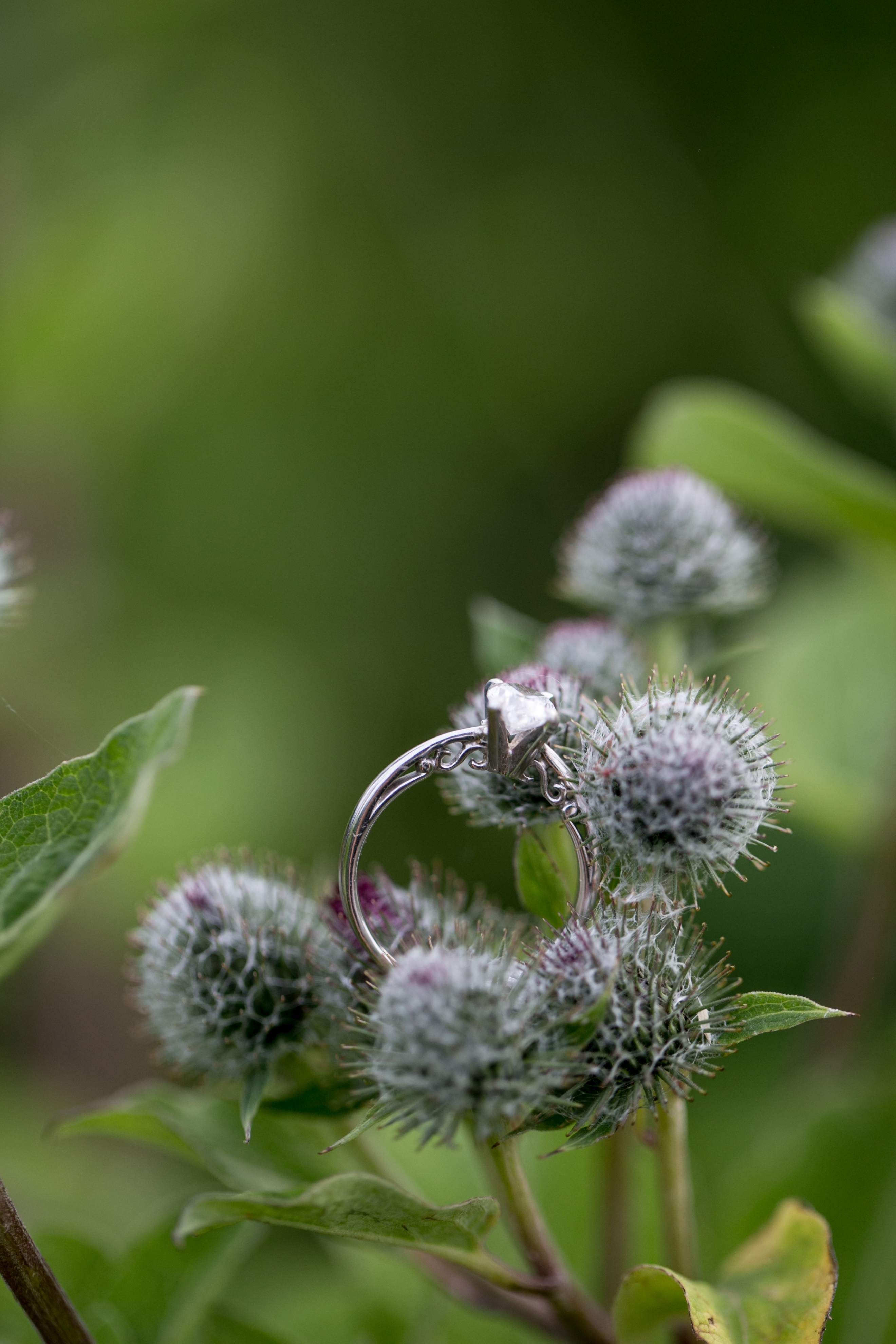 kristareynoldsphotography-107