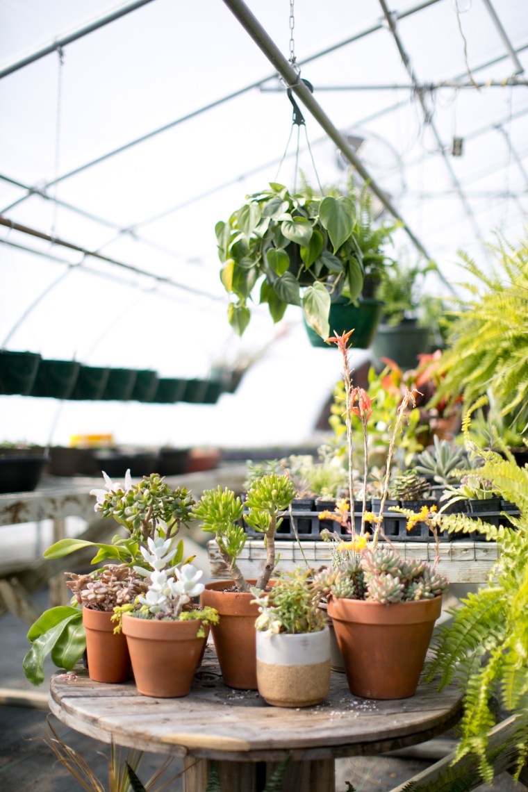 kristareynoldsphotography-1