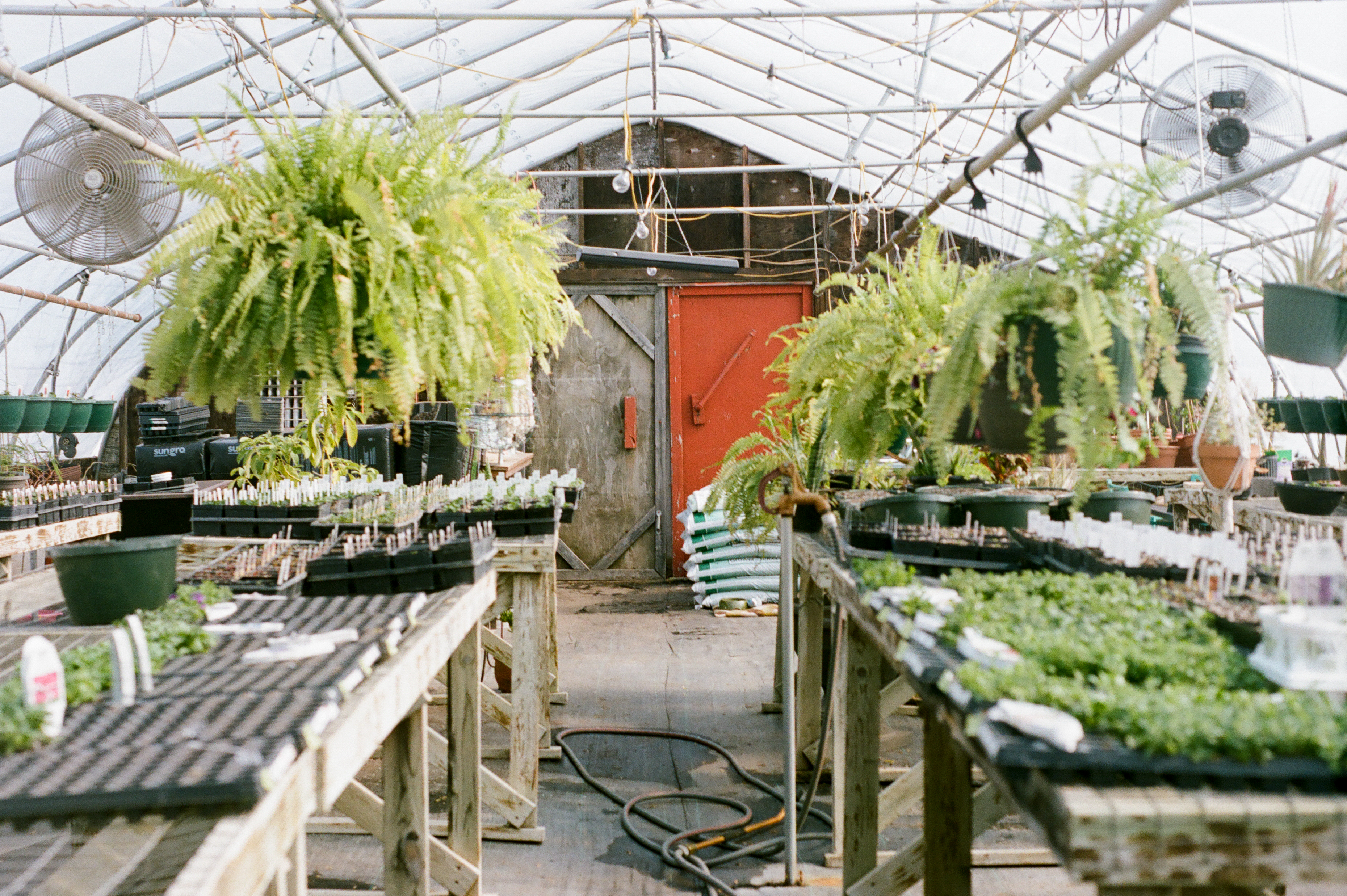 kristareynoldsphotography-1