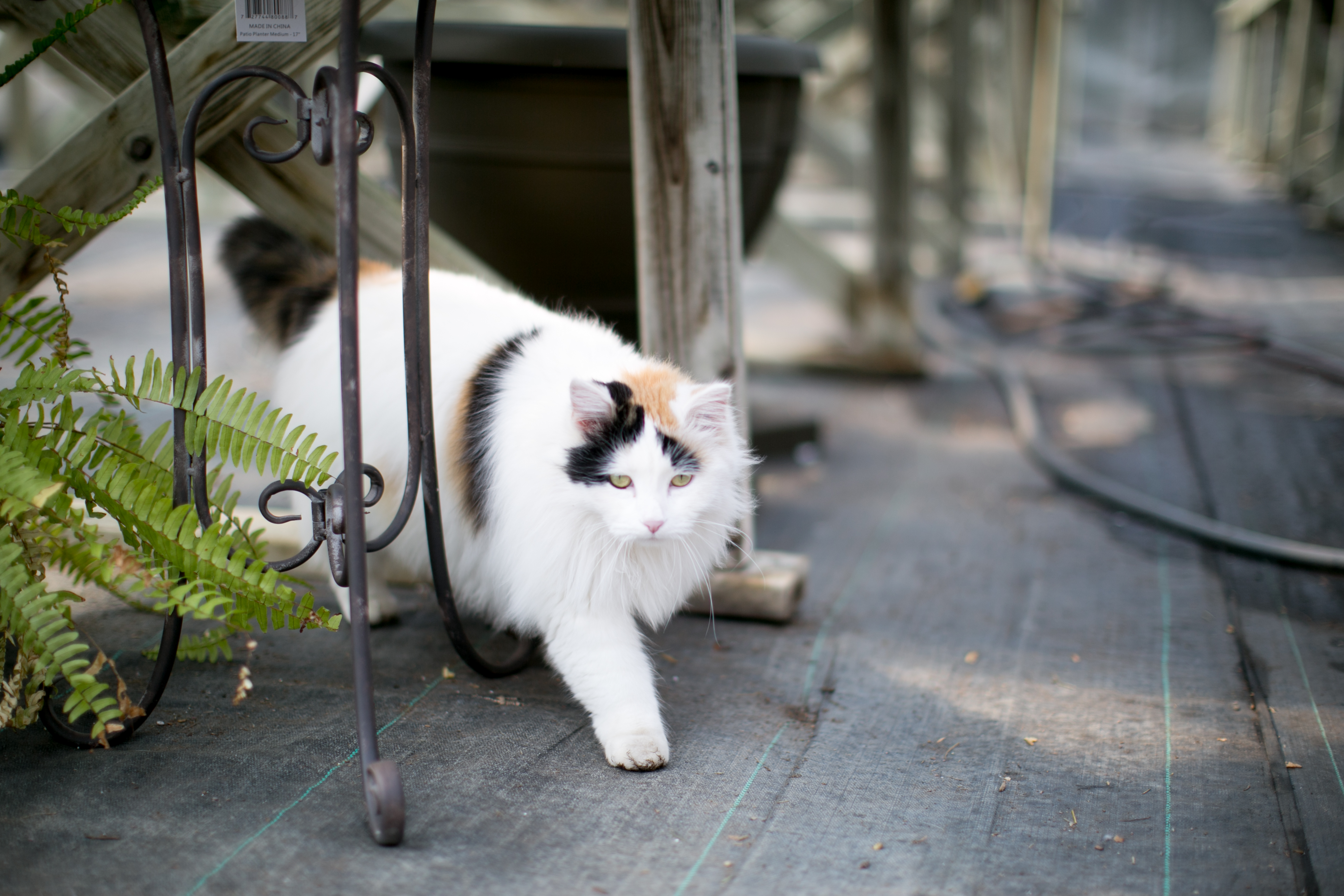 kristareynoldsphotography-13