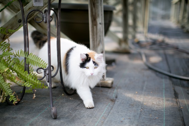 kristareynoldsphotography-13