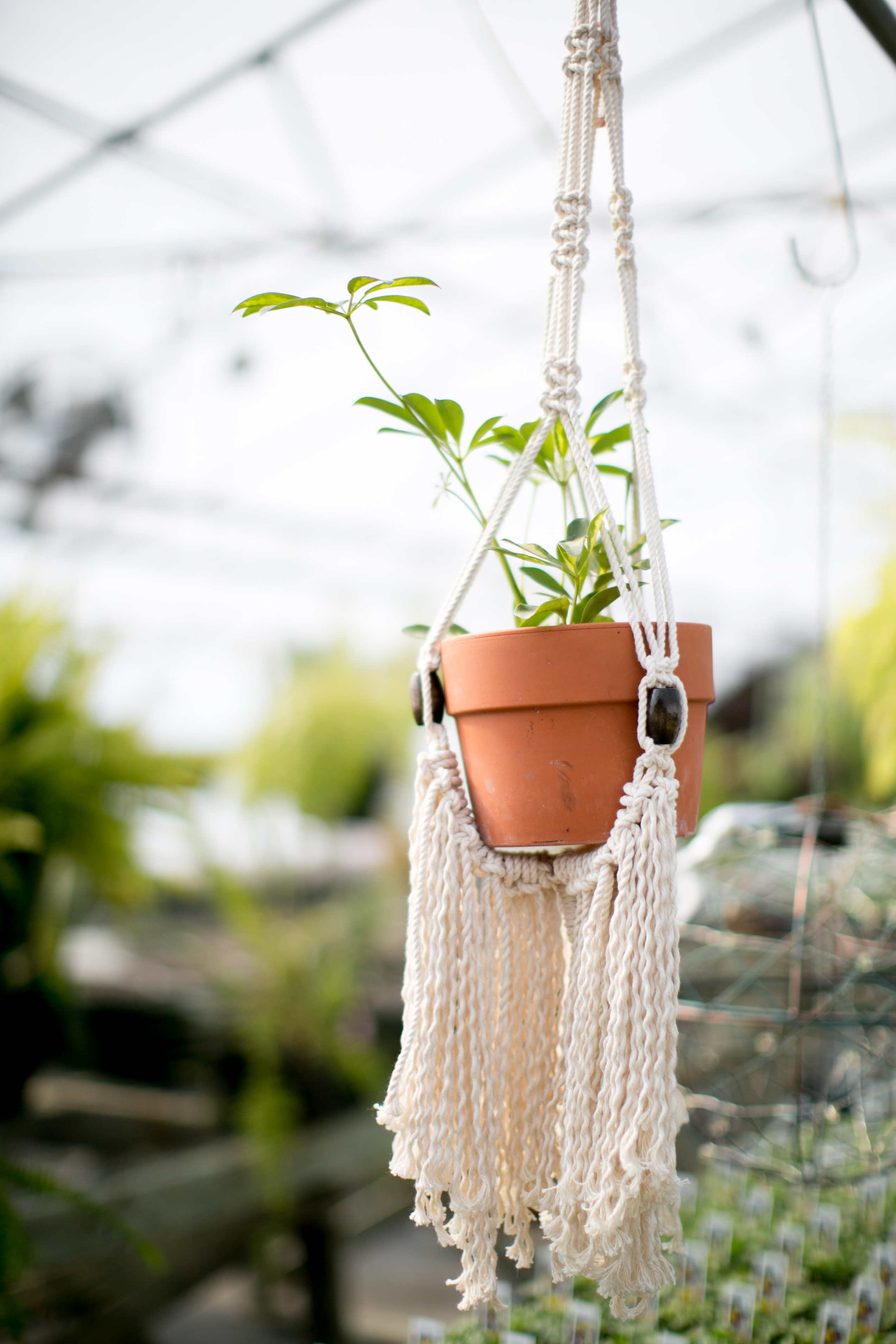 kristareynoldsphotography-14