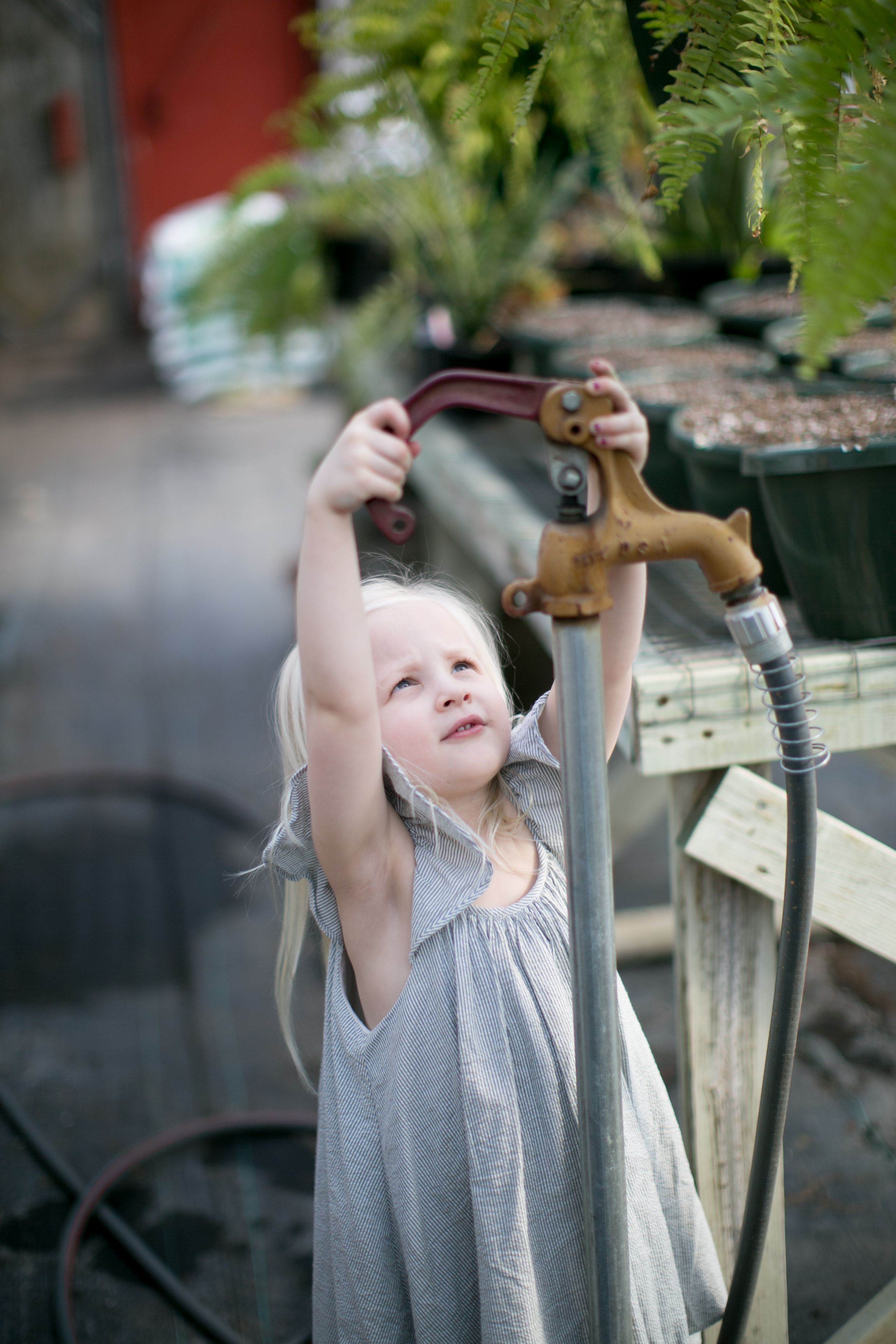 kristareynoldsphotography-203