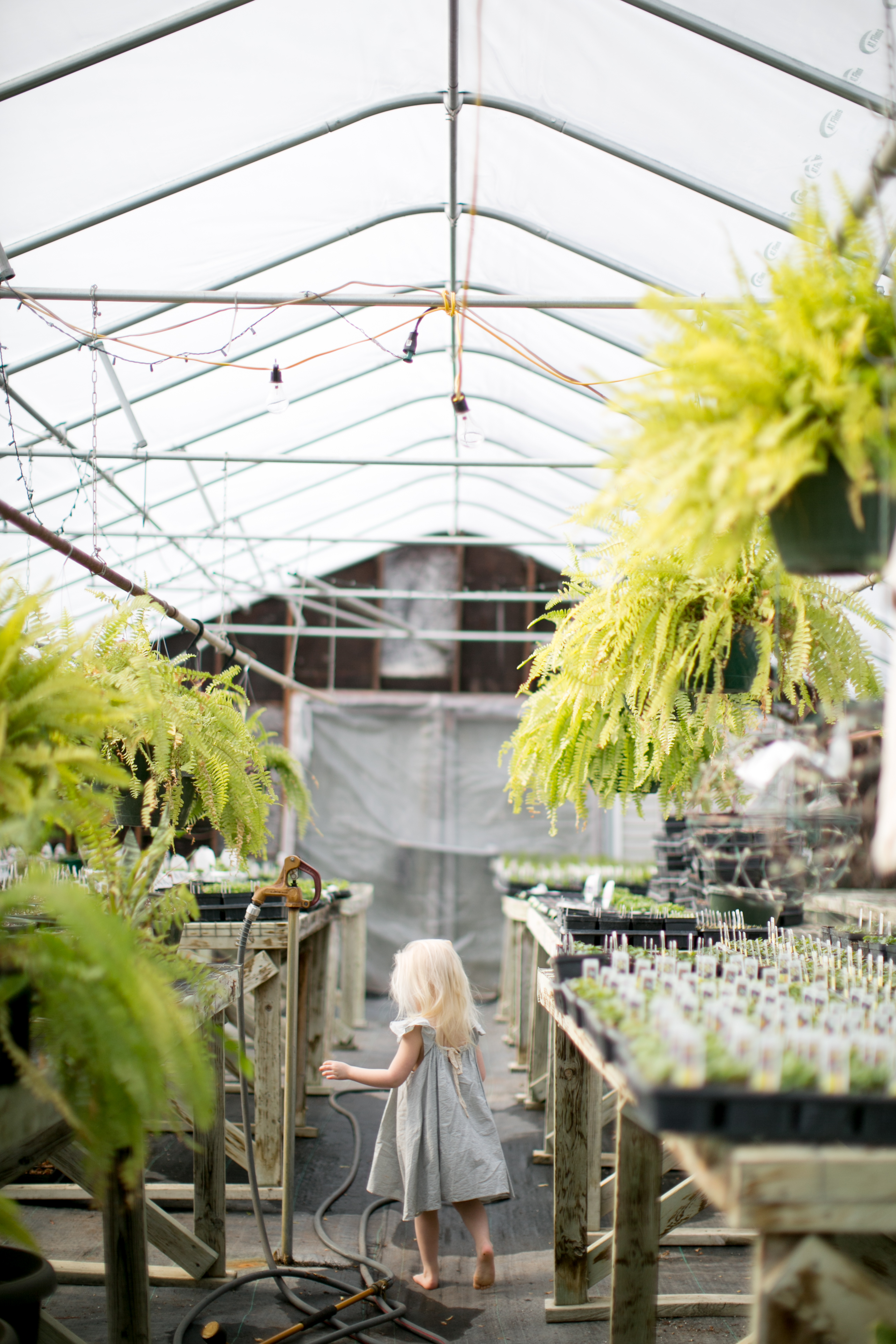 kristareynoldsphotography-21