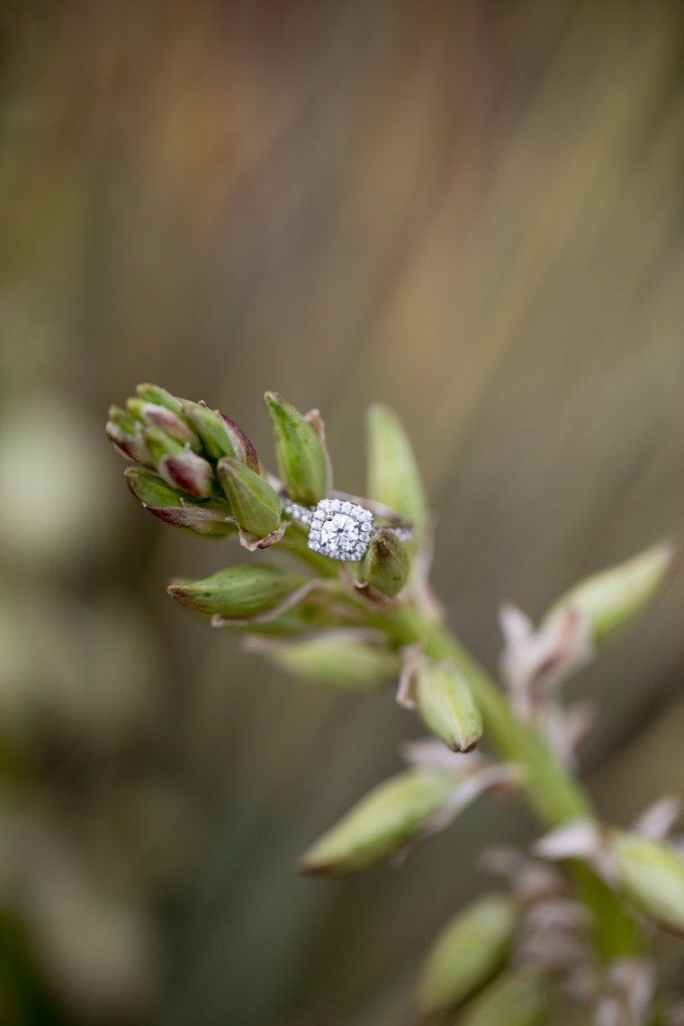 kristareynoldsphotography-52