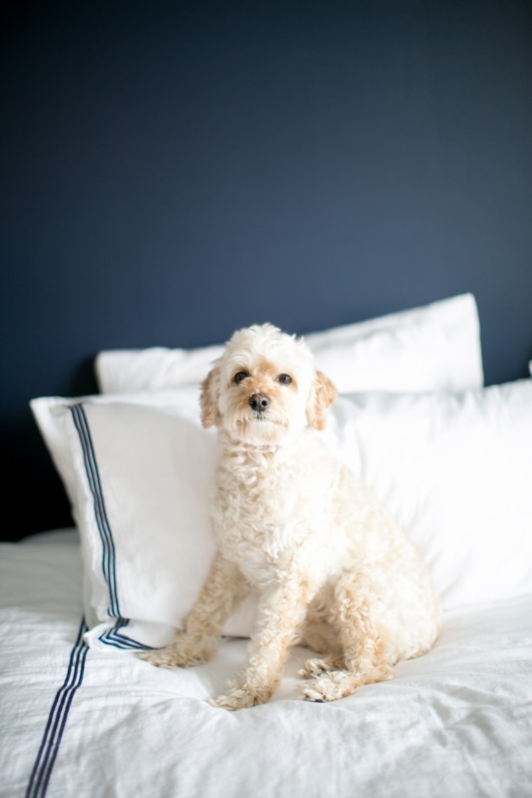 kristareynoldsphotography-109