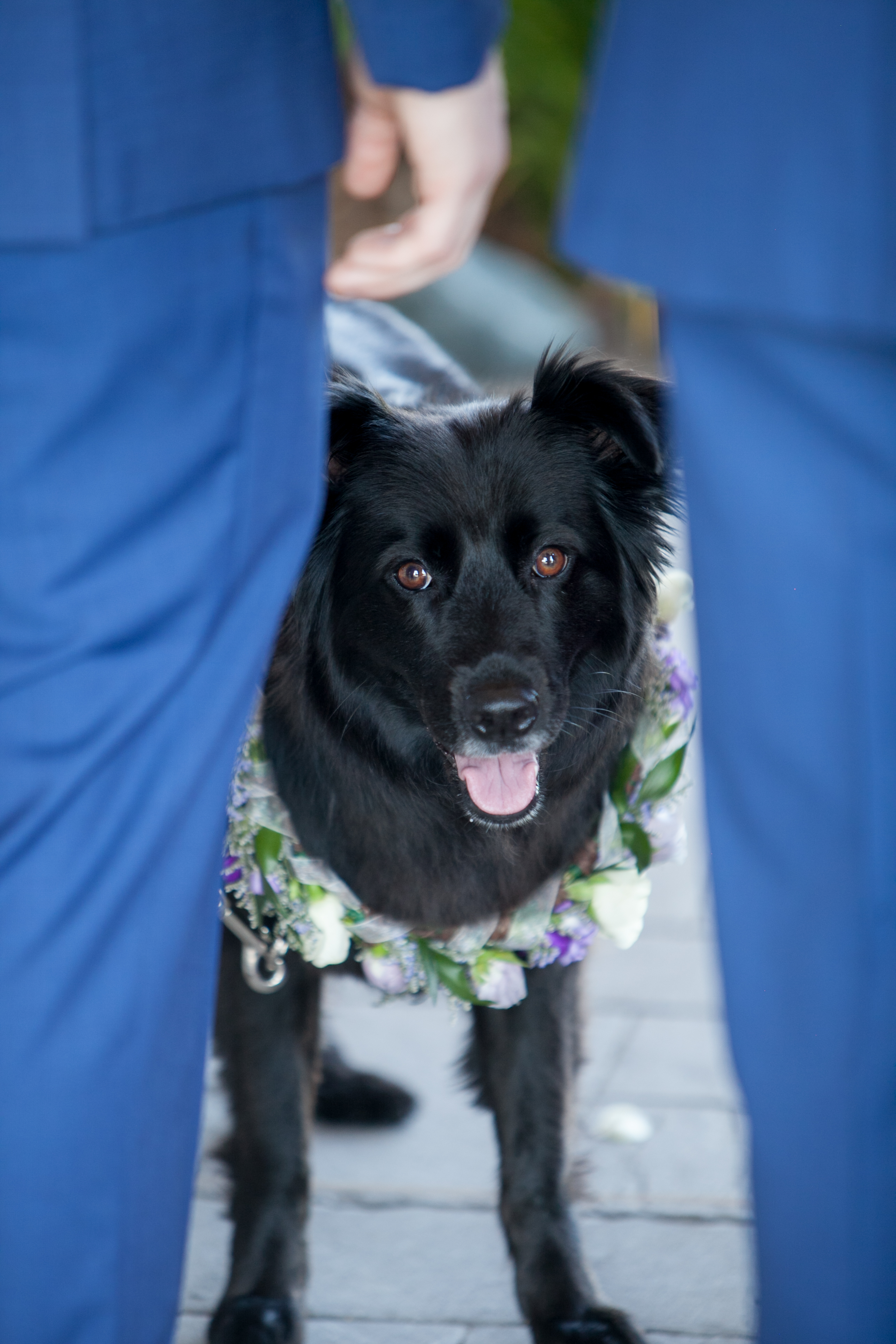 kristareynoldsphotography-42