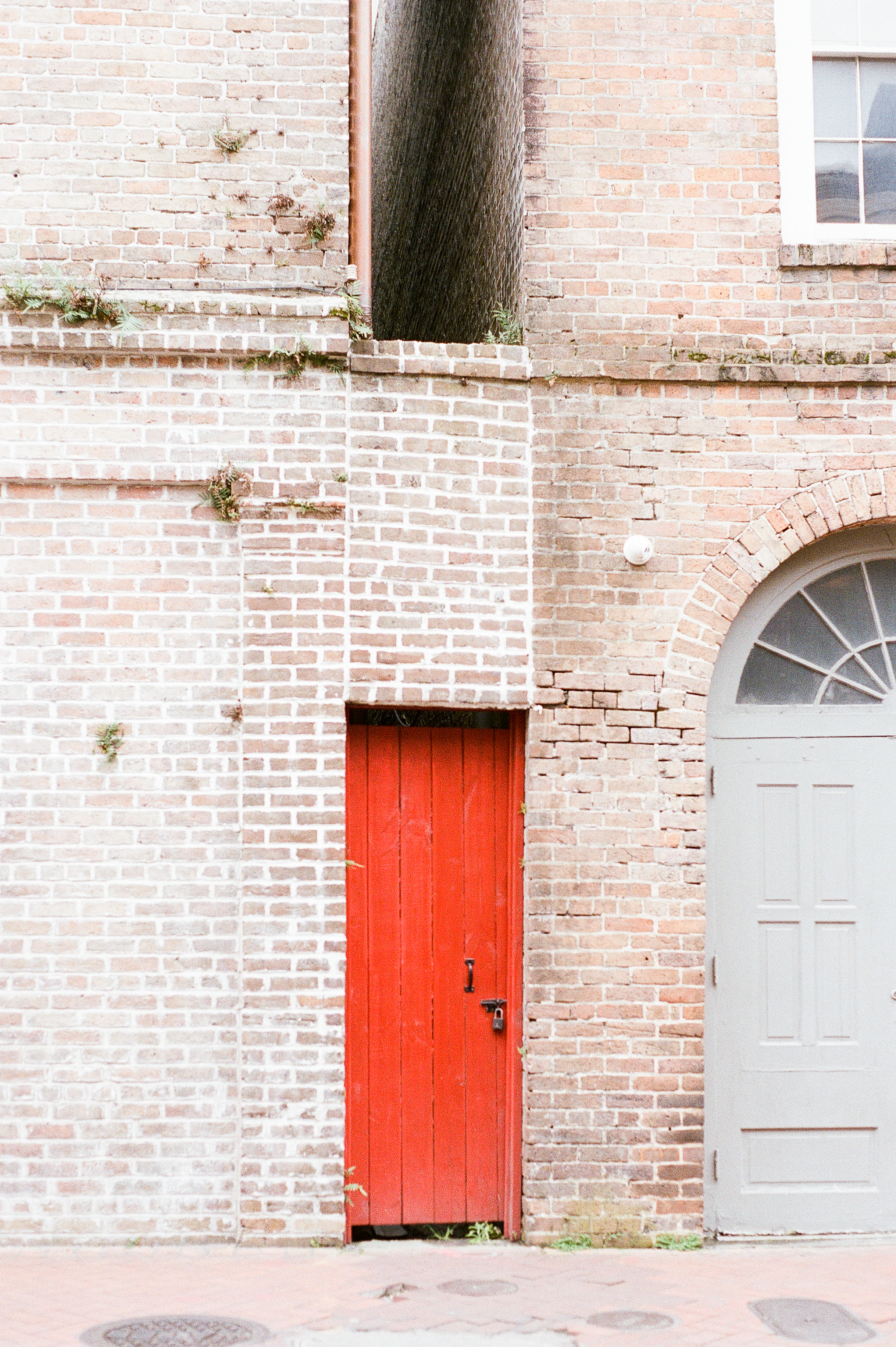 kristareynoldsphotography-1